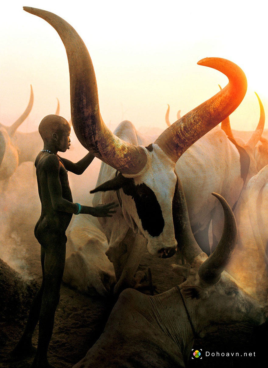 Bộ ảnh tuyệt đẹp về người thổ dân chăn bò SuDan
