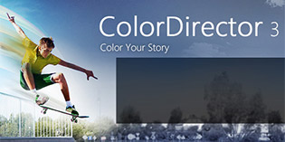color-director-3