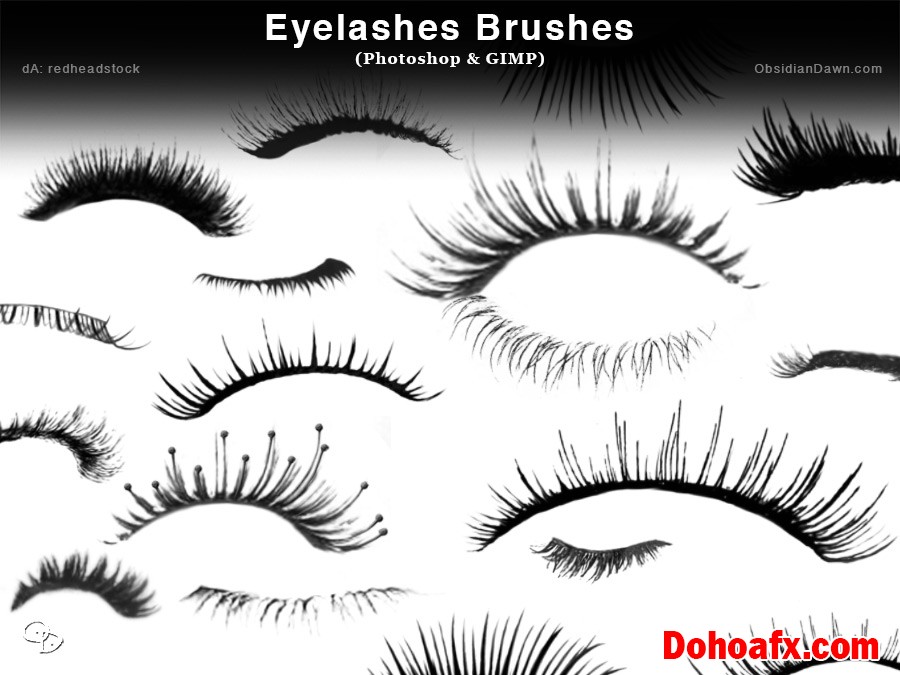 eyelashes_photoshop_and_gimp_brushes_by_redheadstock-d102isv